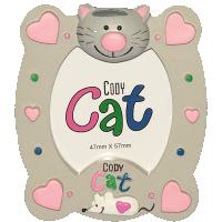 (PROMO) Peluche Cody Chat cadre Photo aimante Anna Club Plush